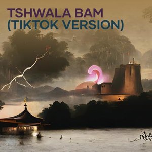 Tshwala Bam (Tiktok Version)