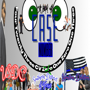 Case Number Four Twenty Three CV Zero One Zero One Three Usdc Southern District of Texas Houston Division