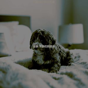 抚慰的小狗回忆