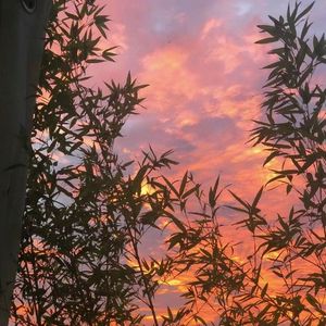 衬衫的价格为九磅十五便士