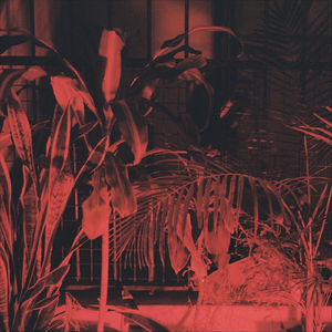 Aparte de To (feat. J.d.L)