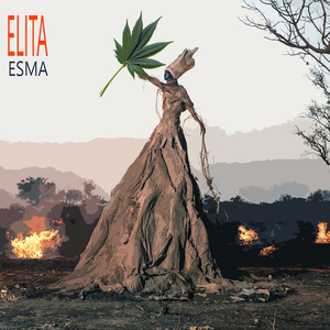 Elita