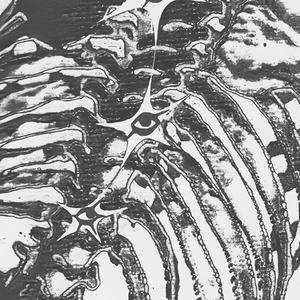 bones