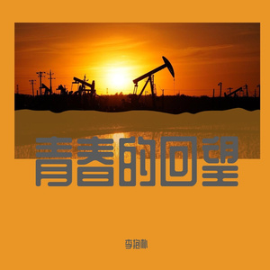青春的回望