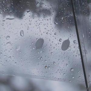 雨爱（抖音版）（翻自 杨丞琳）