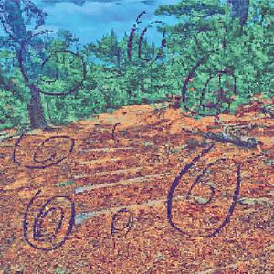 フクロウがあなたを案内します