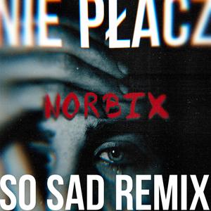 NIE PŁACZ (so sad remix)
