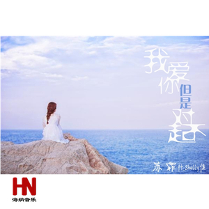 我爱你但是对不起 - 完整版