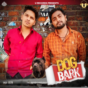 Dog Bark