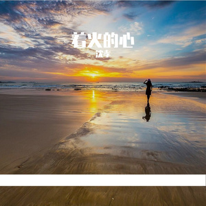 张雨生-口是心非（沈孝 remix）