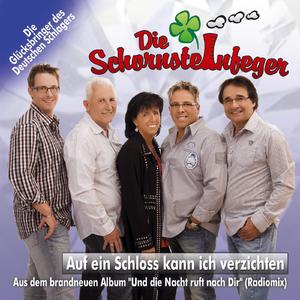 Auf ein Schloss kann ich verzichten (Radio-Mix)