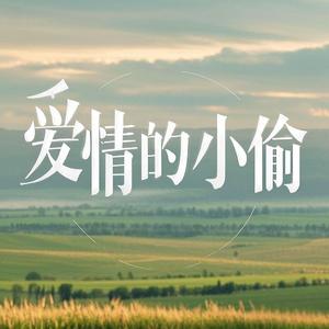 爱情的小偷