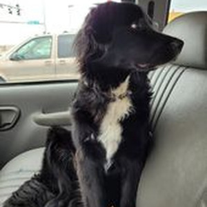 all i need x body party