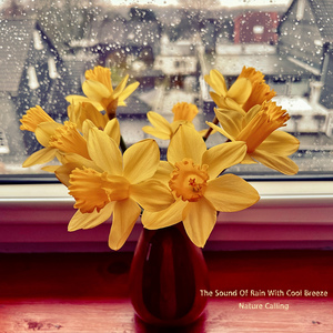 시원한 바람과 함께 들려오는 빗소리