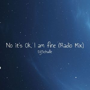 No it's ok, I am fine (Radio Mix)