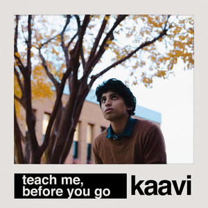 teach me, before you go