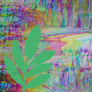 抚慰的周五焦点回忆