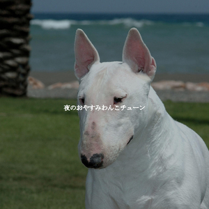 Outstanding Moods for Latte Dreams