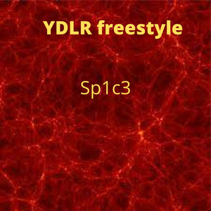 YDLR freestyle