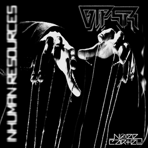 Mongolian Death Worm