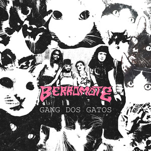 Gang dos Gatos
