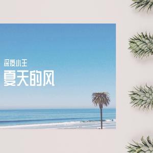 夏天的风