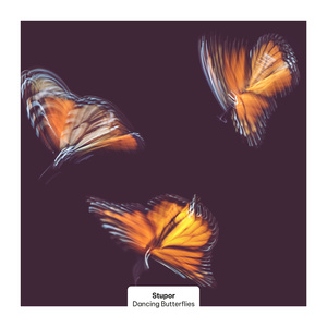 Dancing Butterflies