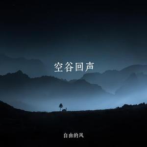 空谷回声