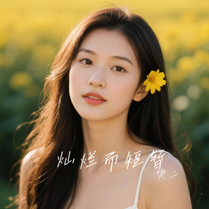 灿烂而短暂