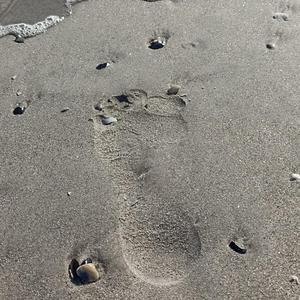 cold spring reflection