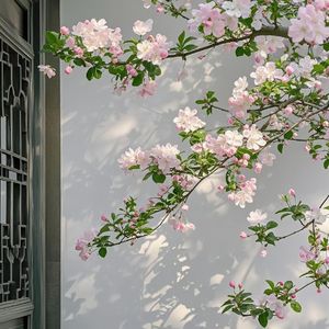 你将万物染春晖（仙女合唱版）