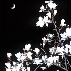Moonlight