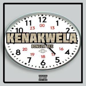 Kenakwela 2.0