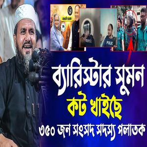 ব্যারিস্টার সুমন কট খাইছে ৩৫০ জন সংসদ সদস্য পলাতক - মোশতাক ফয়েজী