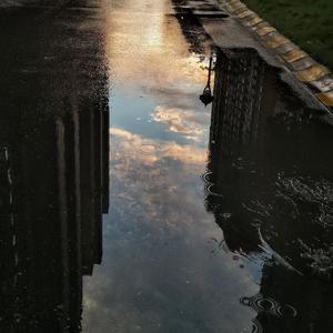 我看过（cici版）