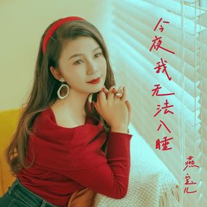今夜我无法入睡 (伴奏)