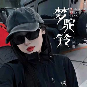 梦驼铃（烟嗓版伴奏）