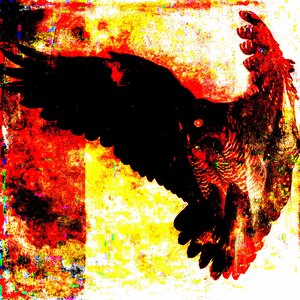 Если мой посев редиски сгинет, я устрою геноцид всей деревни