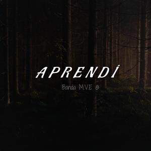 Aprendí