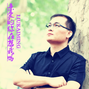 亲爱的你在想我吗dj