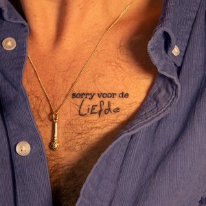 Sorry Voor De Liefde