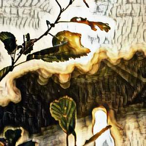 Military Unit Firefight