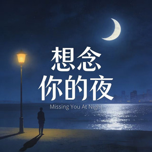 想念你的夜