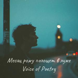 Месяц рожу полощет в луже