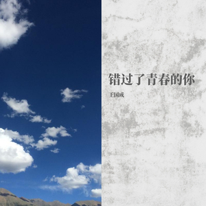 错过了青春的你