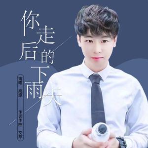 你走后的下雨天
