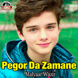 Pegor Da Zamane