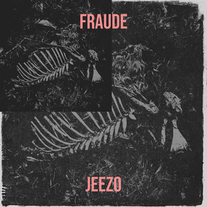 FRAUDE