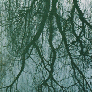 被抽走一半的灵魂冲破河堤