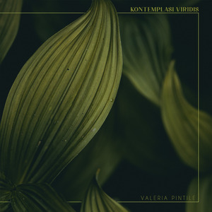 Kontemplasi Viridis